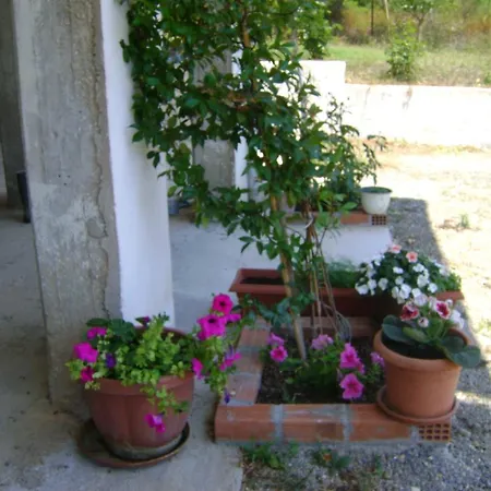 Scorpios Dassia (Corfu)