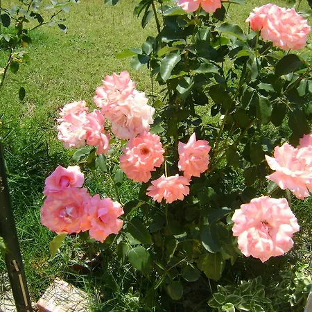 Scorpios Apartamento