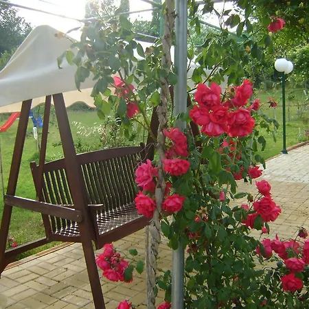 Apartament Scorpios Dassia (Corfu)