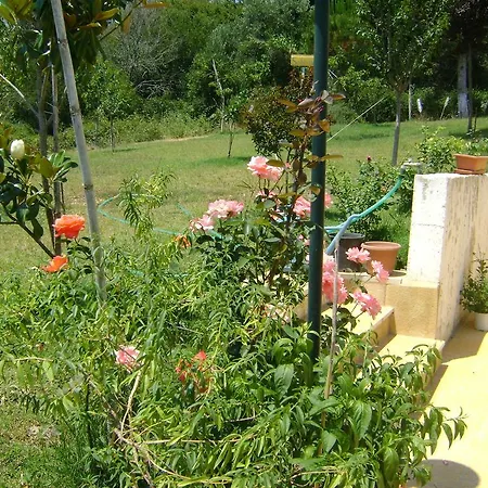 Апартаменты Scorpios *