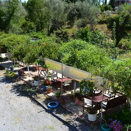 Scorpios Apartment Dassia (Corfu)